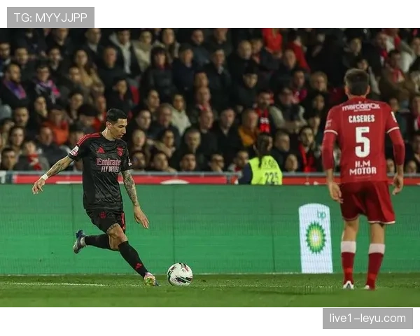 迪马利亚闪耀国家队赛场,助阿根廷再添关键胜利 迪马利亚闪耀国家队赛场,助阿根廷再添关键胜利