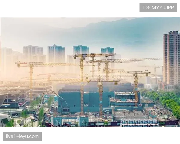 安特卫普中路：城市发展的新引擎，渗透效应显著显现