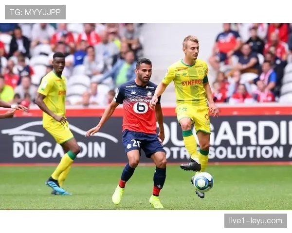 尼斯阵容深度解析:新援加盟显著提升球队竞争力 尼斯阵容深度解析:新援加盟显著提升球队竞争力